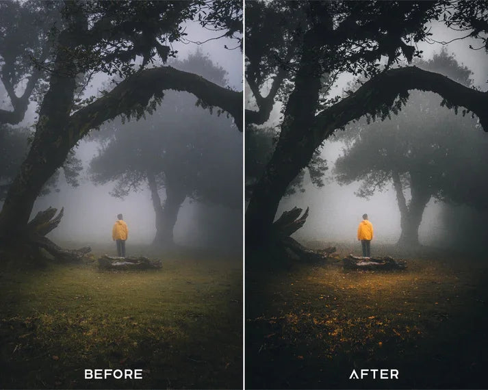 Cinematic Preset & LUTs Collection – Classic Movie-Style Looks