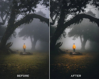Cinematic Preset & LUTs Collection – Classic Movie-Style Looks
