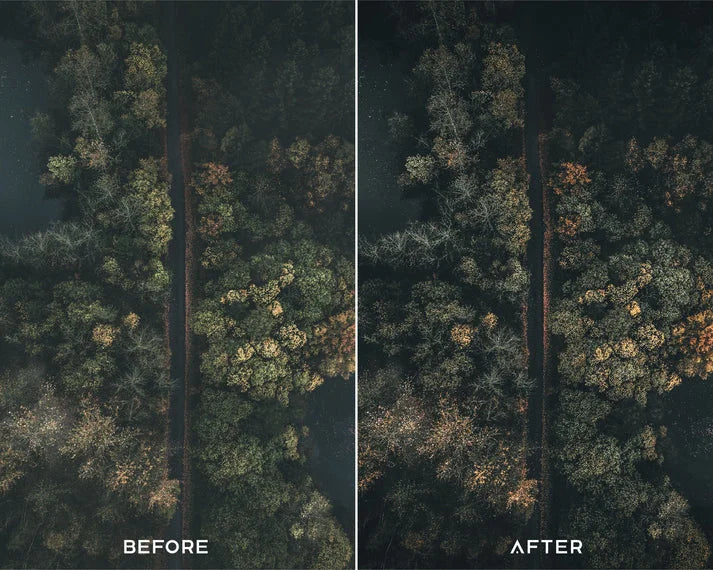 Cinematic Preset & LUTs Collection – Classic Movie-Style Looks