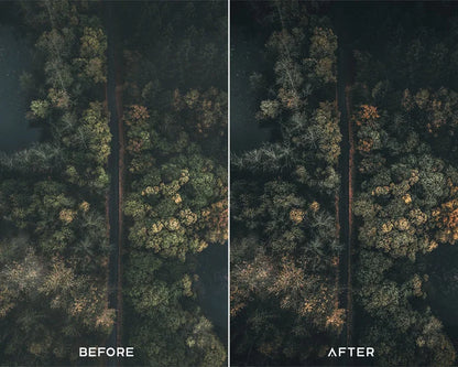 Cinematic Preset & LUTs Collection – Classic Movie-Style Looks