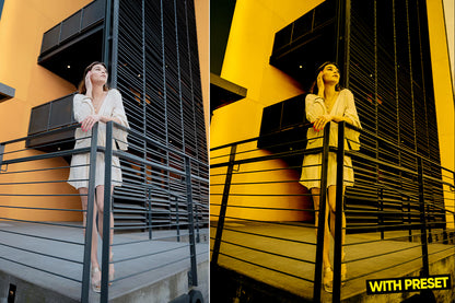 ARTA – The Lemon Lightroom Preset Pack (Desktop & Mobile)