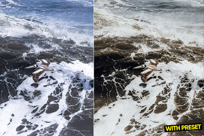 ARTA – Sand Fade Lightroom Preset Pack (Desktop & Mobile)
