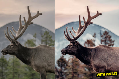 ARTA – Sweden Aesthetic Preset Pack (Desktop & Mobile)