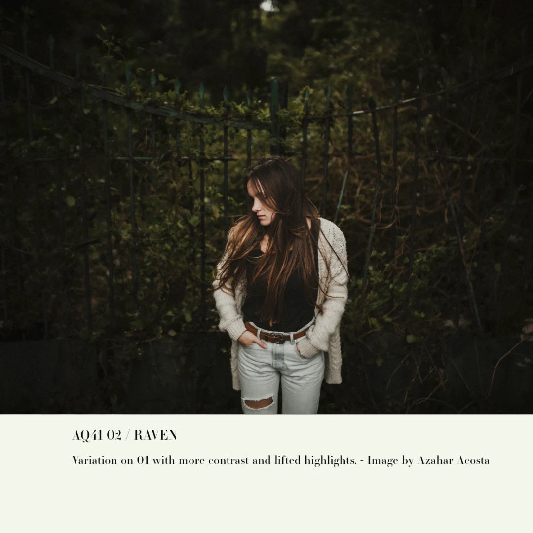 Archipelago – Quest 41 Raven (Moody Twilight Presets)