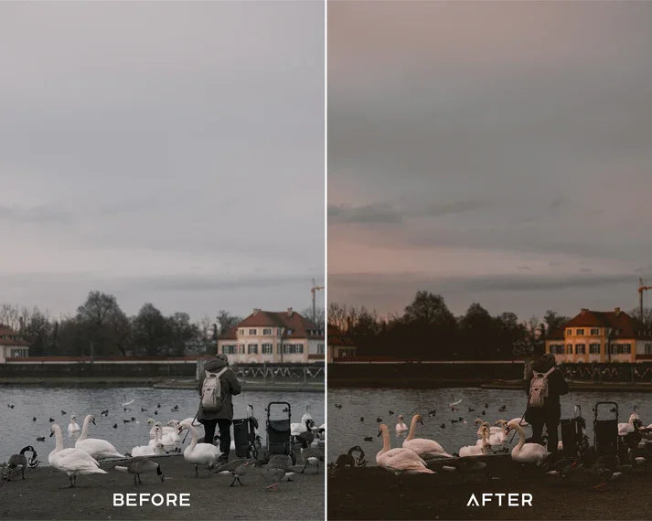 Dark Academia Preset & LUTs Collection – Moody Vintage Aesthetic