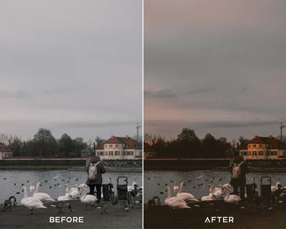 Dark Academia Preset & LUTs Collection – Moody Vintage Aesthetic