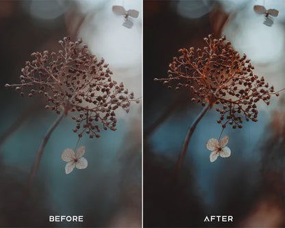 Dark Brown Preset & LUTs Collection – Moody Outdoor Aesthetics