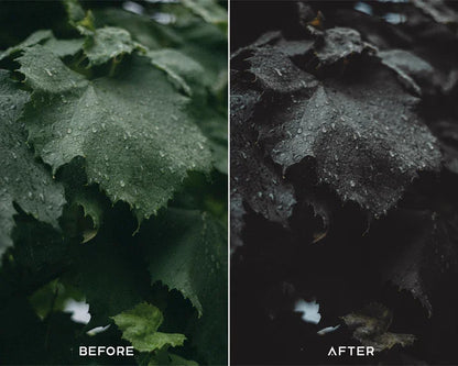 Dark Brown Preset & LUTs Collection – Moody Outdoor Aesthetics