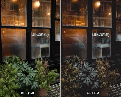 Dark Brown Preset & LUTs Collection – Moody Outdoor Aesthetics
