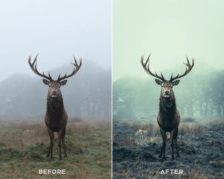 Deep Moody Preset & LUTs Collection – Dark Cinematic Tones