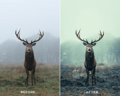 Deep Moody Preset & LUTs Collection – Dark Cinematic Tones