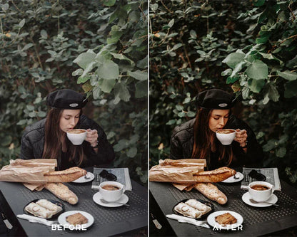 Earthy Preset & LUTs Collection – Natural Warm Tones