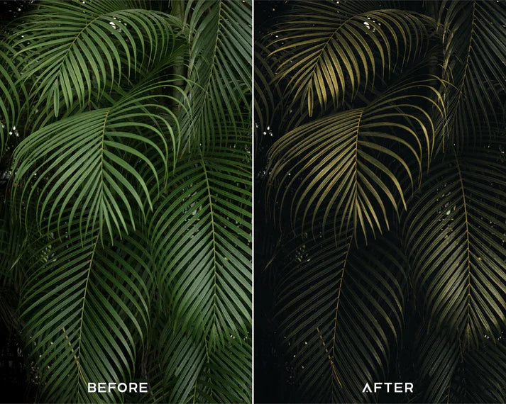 Explore Preset & LUTs Collection – Adventure & Travel Tones