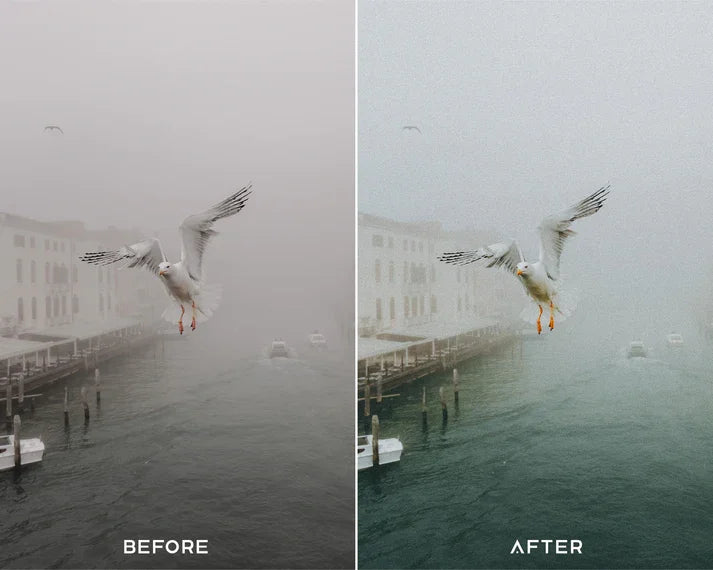 Film II Preset & LUTs Collection – Authentic Vintage Film Look
