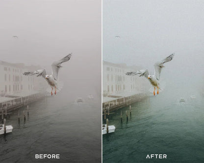 Film II Preset & LUTs Collection – Authentic Vintage Film Look