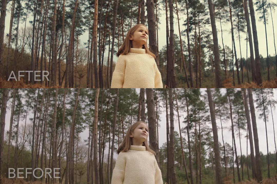 FilterGrade – Celluloid Video LUTs (by Rémy De Vlieger)