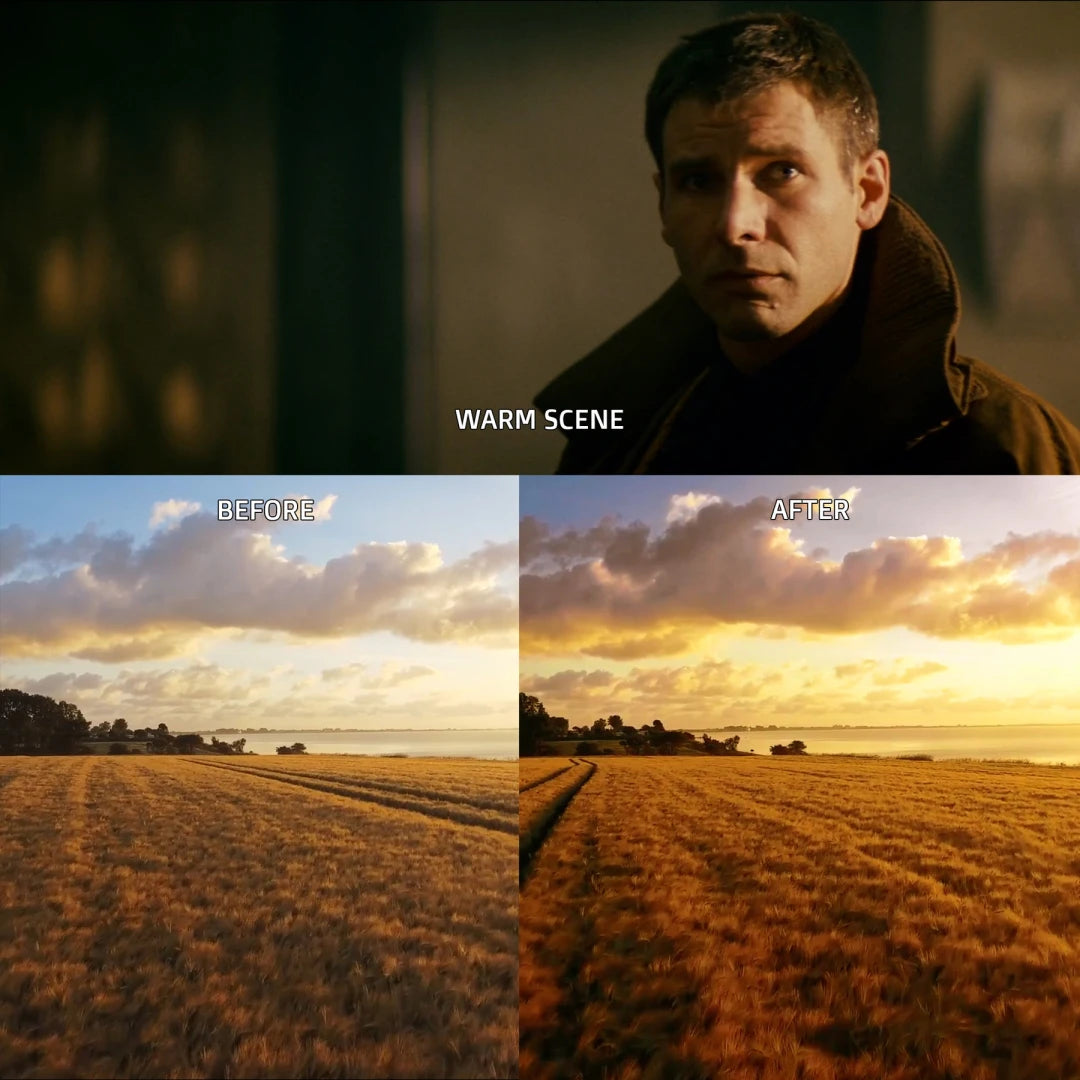 Hollywood LUTs – Blade Runner Cinematic Pack