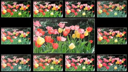 Vintones – Vintage Film LUTs Collection