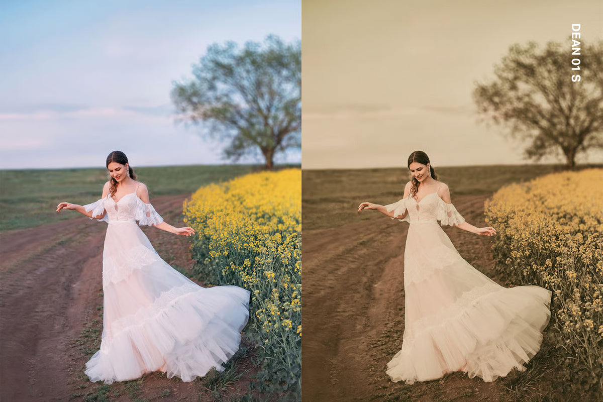 SparkleStock – 25 Warm & Moody Lightroom Presets + LUT Pack