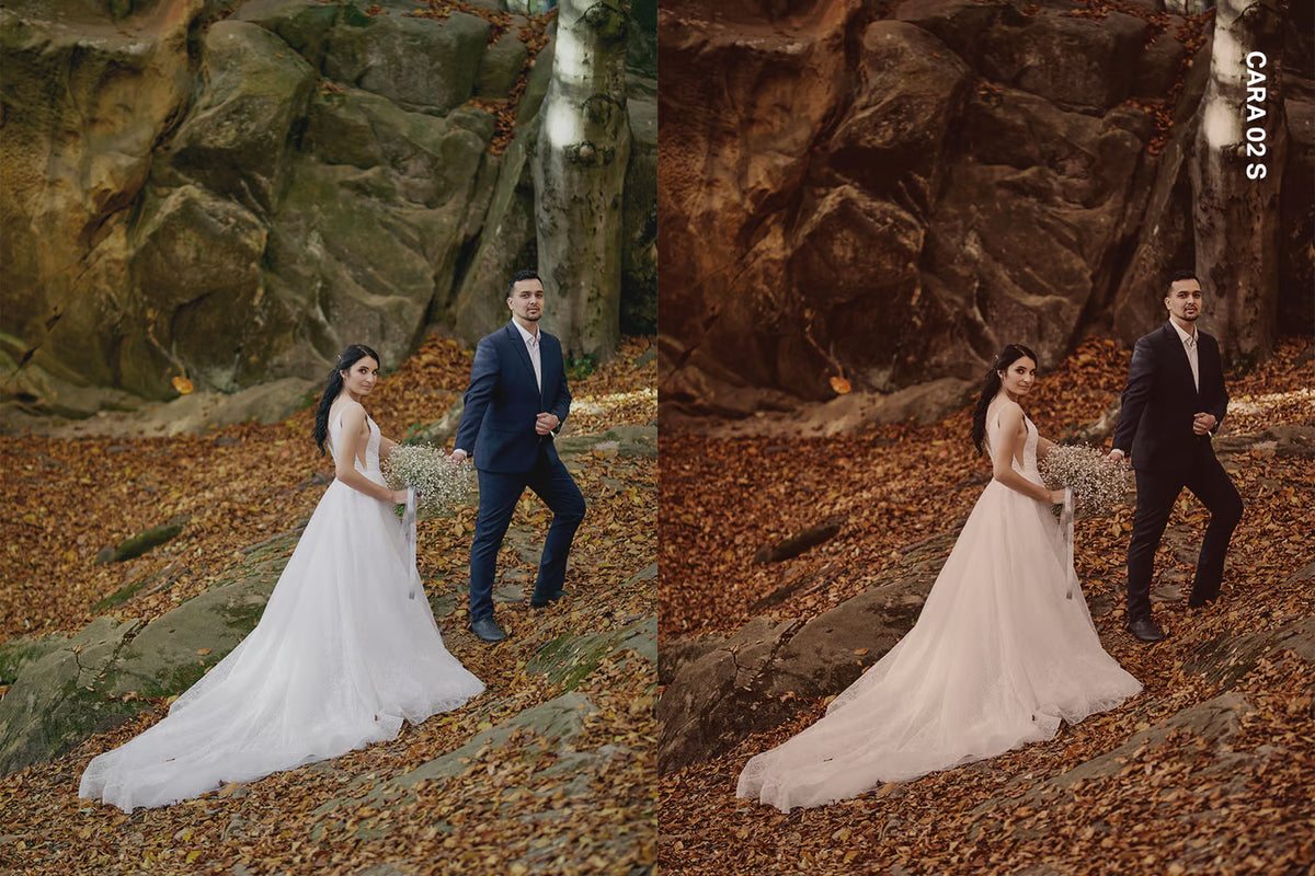 SparkleStock – 25 Warm & Moody Lightroom Presets + LUT Pack