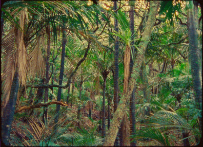 Happy Editing – Vintage 16mm Film LUTs Pack
