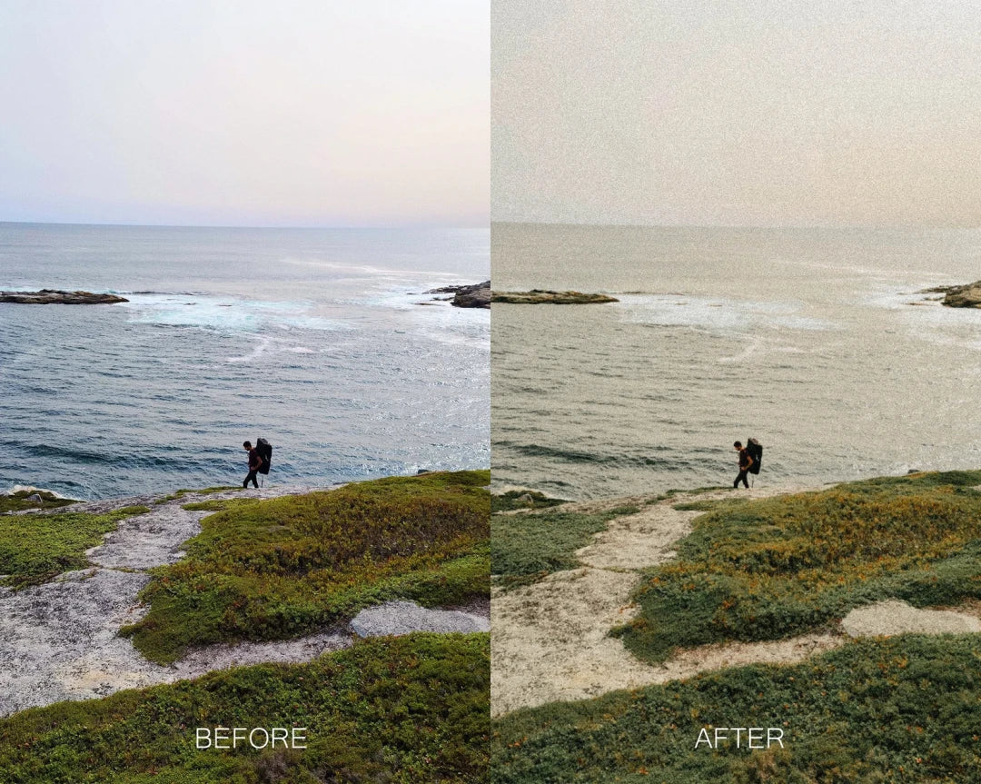 Twig & Olive Photography – LR Warm Film Presets