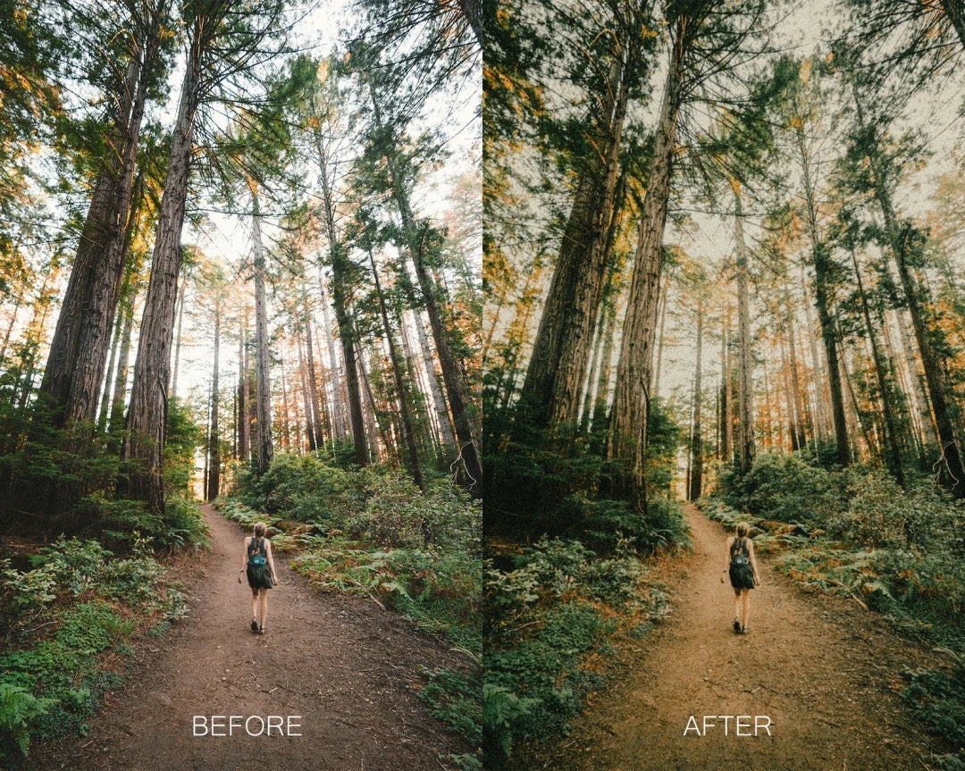 Twig & Olive Photography – LR Warm Film Presets