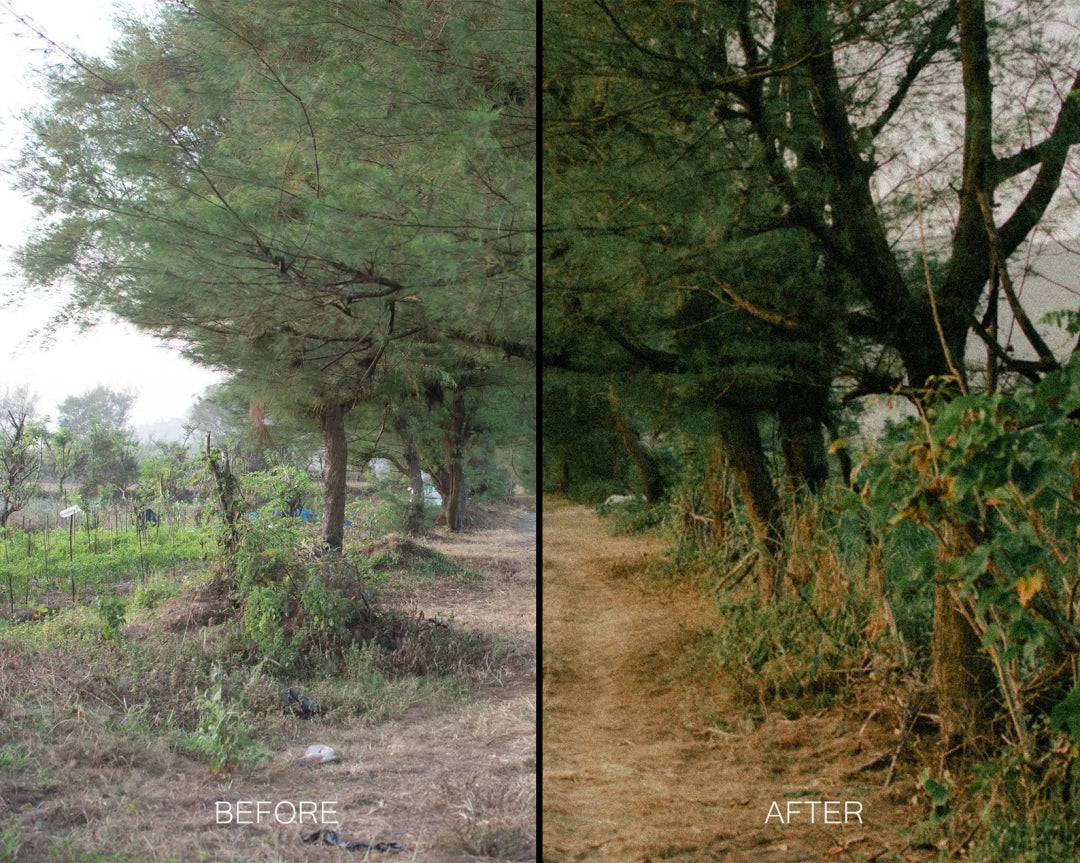 Twig & Olive Photography – LR Warm Film Presets