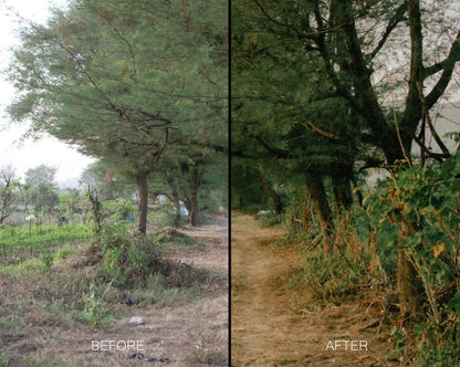 Twig & Olive Photography – LR Warm Film Presets